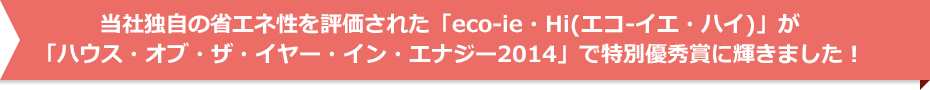 当社独自の省エネ性を評価された「eco-ie・Hi（エコ-イエ・ハイ）」が「ハウス・オブ・ザ・イヤー・イン・エナジー2015」で優秀賞に2年連続受賞に輝きました！